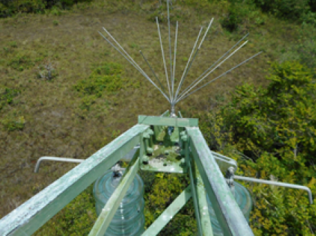 Protéger les oiseaux des lignes électriques haute tension